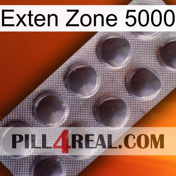 Exten Zone 5000 30.jpg